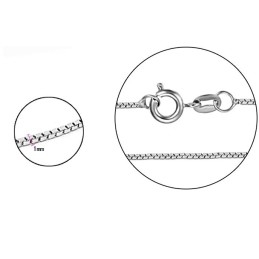 Laatu Ja Määrä Taattu Naisten Platinapinnoitettu Titaaniketju