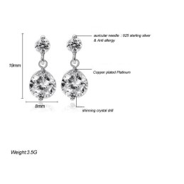 Laatu- Ja Määrävarmistetut Naisten Allergiattomat Platinapäällysteiset Titaanikorvakorut