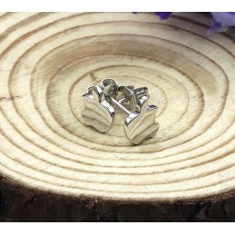 Helppokäyttöiset Naisten Omenanmuotoiset Platinapäällysteiset Titaanikorvakorut