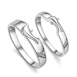 Täydelliset Tekniset Tiedot Dolphin Platinum Platinum Titanium Ring Rakastavaisille