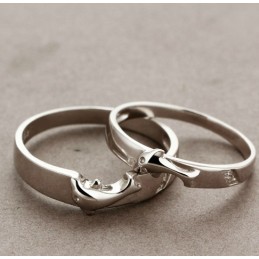 Täydelliset Tekniset Tiedot Dolphin Platinum Platinum Titanium Ring Rakastavaisille