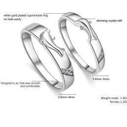 Täydelliset Tekniset Tiedot Dolphin Platinum Platinum Titanium Ring Rakastavaisille