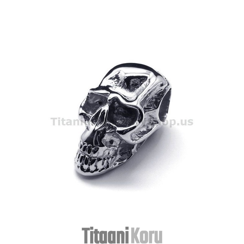 Puhdas Titaaninen Pääkallo-Riipus - Vapaa Ketju