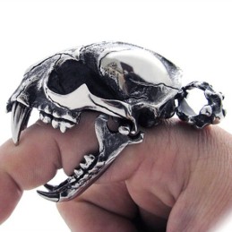 Dinosauruskallo-Titaaniriipus