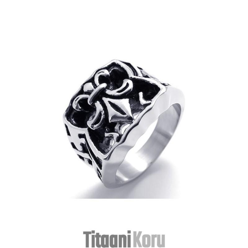 Titaanisormus Kruunulla Titaanisormus Kruunulla
